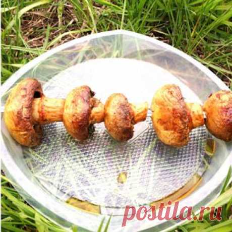 Шашлычок из шампиньонов, закуска. Пошаговый рецепт с фото на Gastronom.ru