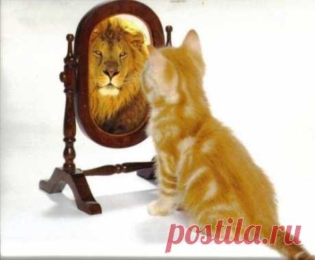 Ты должен верить в себя даже тогда, когда в тебе сомневается весь мир.
© Шри Чинмой