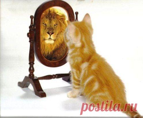 Ты должен верить в себя даже тогда, когда в тебе сомневается весь мир.
© Шри Чинмой