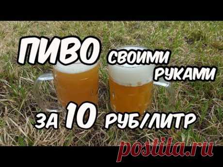 Пиво своими руками за 10 рублей - 1 литр. Рецепт + Дегустация