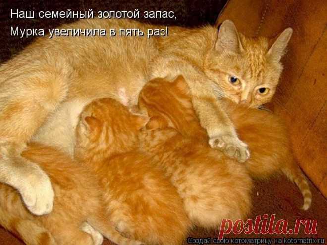 золотое семейство