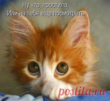 хх