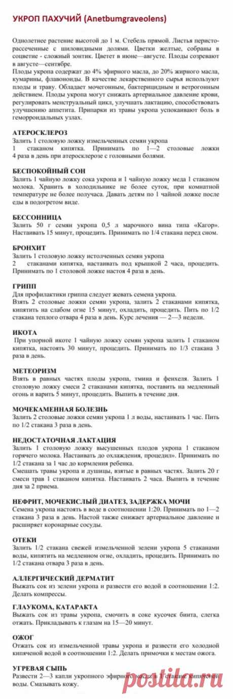 Укроп пахучий.
Травник. Золотые рецепты народной медицины. Универсальный справочник. Москва 2007