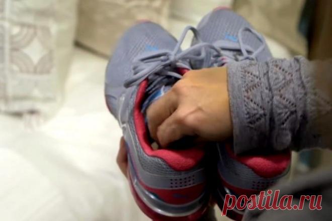 6 причин не выбрасывать использованные чайные пакетики / Все для женщины