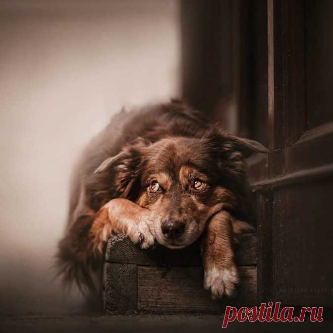 Nice to meet you.. ©Kristina Kvapilova