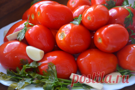 Квашеные помидоры на зиму (Солёные помидоры) Невероятно вкусные! | MaryanaTastyFood | Вкусная Еда | Яндекс Дзен