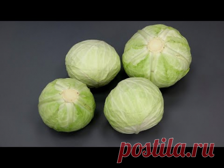 Капуста  КАК ТЫ МОГ ЭТОГО НЕ ЗНАТЬ?