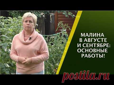 НЕ ЗАБУДЬТЕ СДЕЛАТЬ ЭТО С МАЛИНОЙ В АВГУСТЕ!
