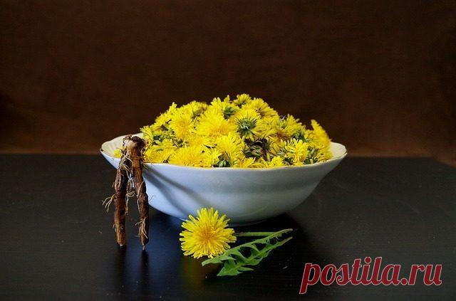 Продукты и травы для клеточного омоложения печени - Народная медицина - медиаплатформа МирТесен