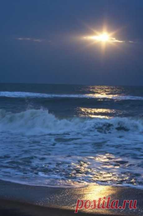 After a long day..an evening stroll would be special!
Shells on the beach из Shells on the beach   |   Pinterest • Всемирный каталог идей