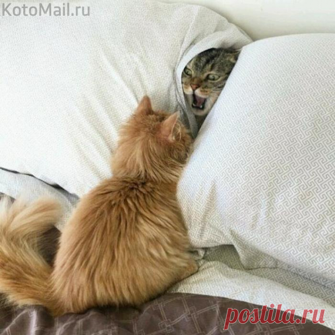 Занято тут!