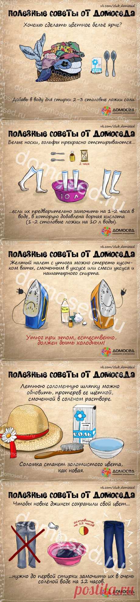 Полезные советы от Домоседа