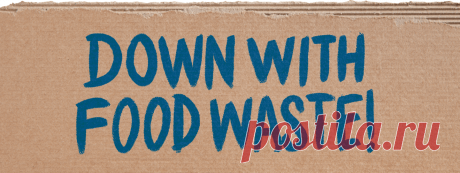 InSinkerator | Down With Food Waste