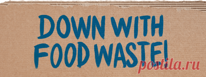 InSinkerator | Down With Food Waste