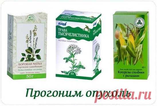 Прогоним опухоль
Уж сколько советов дается от опухолей, но меньше больных не становится. Может, мои ре­цепты кому-нибудь помогут. Вот рецепты от миомы, фиб­ромиомы, мастопатии.
3 ст. ложки кукурузных рылец, щепотку зверобоя ки­пятить в стакане воды 15 минут. Настоять час, проце­дить, довести объем до полного стакана. Пить по одному глотку 4 раза в день. Одну неделю пить, неделю перерыв. Курс — 2-3 месяца.
60 г боровой матки настоять в литре хорошей водки, пить по чайной ложке 2 раза в день за