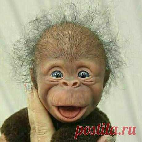 Одноклассники