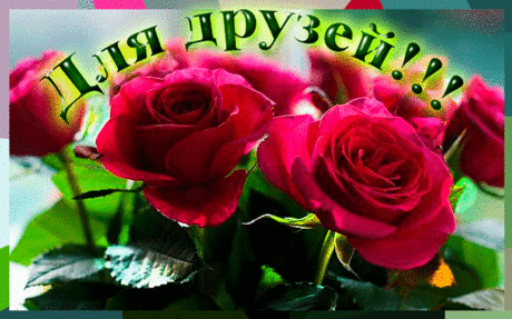 Я вас люблю, мои друзья - Плейкасты