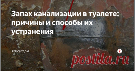 Запах канализации в туалете: причины и способы их устранения.   &gt;&gt;&gt;&gt;&gt;&gt;&gt;