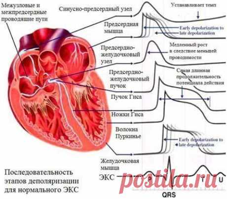 Нарушения ритма.