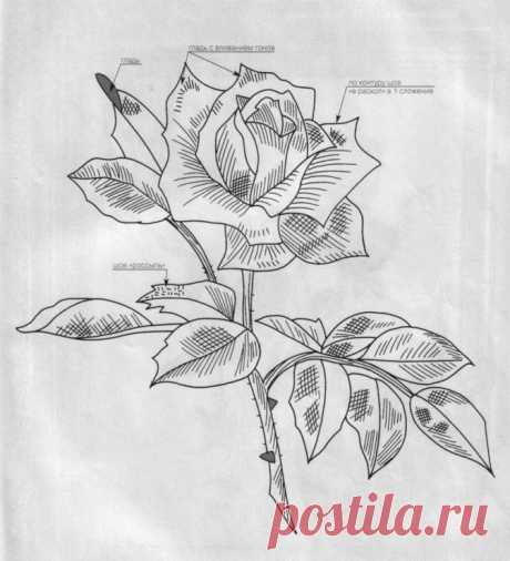 (6) Gallery.ru / Фото #3 - Вышитые картины - nadiusha