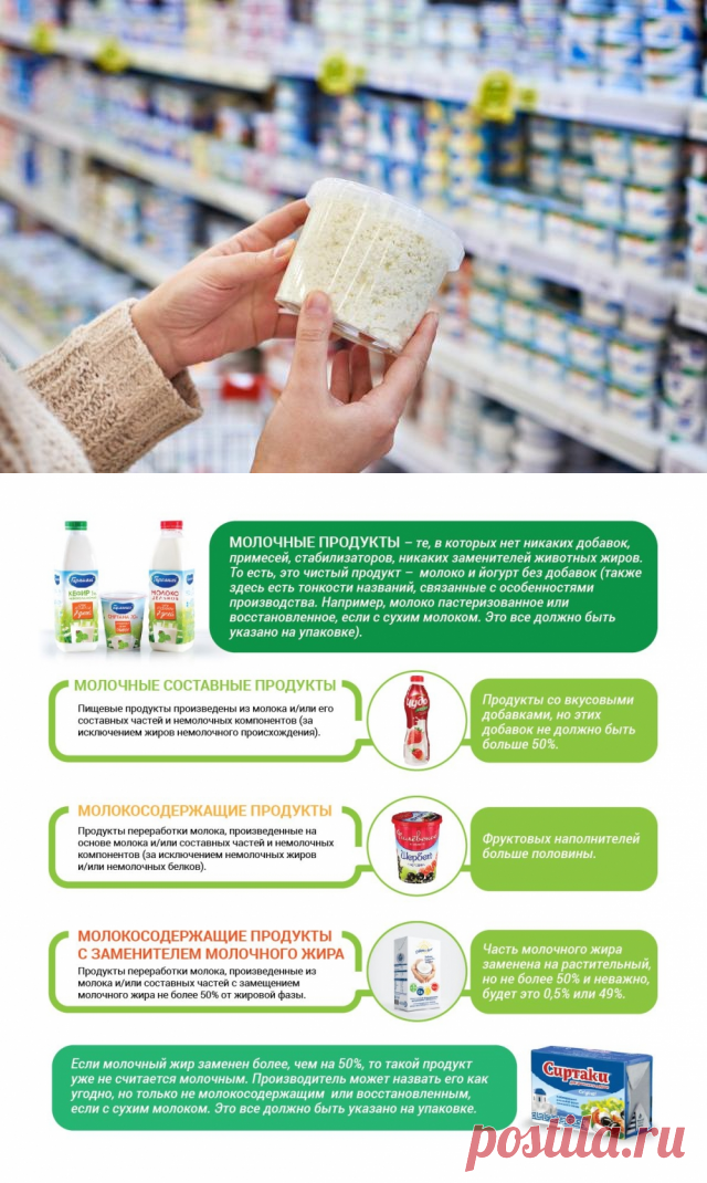 Творог больше не творог. Разбираемся в новых названиях молочной продукции | Продукты и напитки | Кухня | Аргументы и Факты