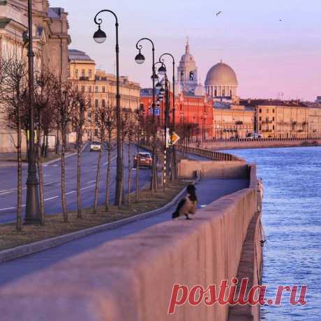 Pin page