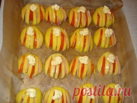 Картофельные ракушки