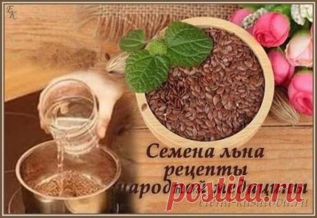 Семя льна — применение и что оно лечит