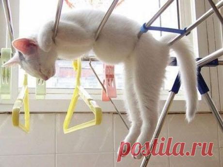 Нечего без дела простаивать и место занимать! Воспользуюсь моментом! :)