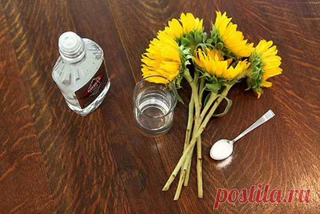 Почему цветы "любят" водку