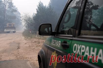 Десятки человек в российском регионе эвакуируют из-за лесного пожара. Площадь лесного пожара в Свердловской области увеличилась до 240 гектаров. Спасатели эвакуировали 83 человека из садового товарищества «Мирный», к которому приближается огонь. Среди эвакуированых — 12 детей. Сейчас сотрудники ведомства производят мониторинг обстановки с воздуха с помощью летательных аппаратов.