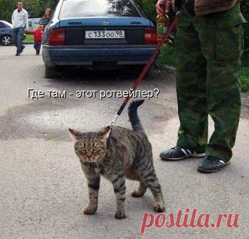 Одноклассники