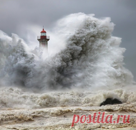 Шторм. © Veselin Malinov