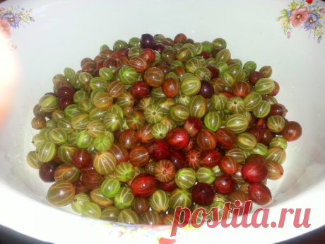 Крыжовник с апельсином на зиму без варки. Полезно и вкусно | Я не сдамся без боя. | Яндекс Дзен