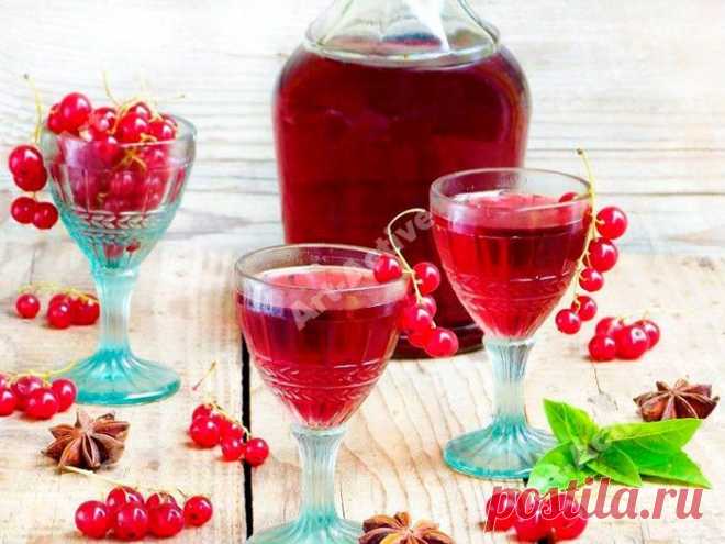 Наливка из красной смородины