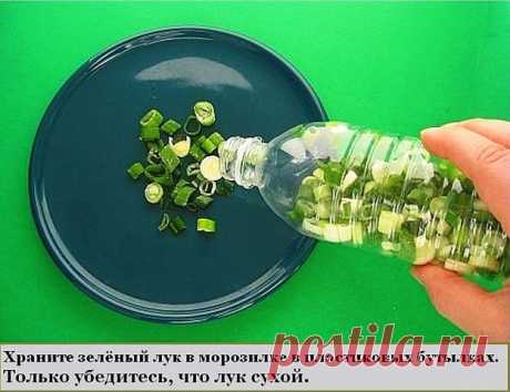 ХРАНЕНИЕ ЛУКА