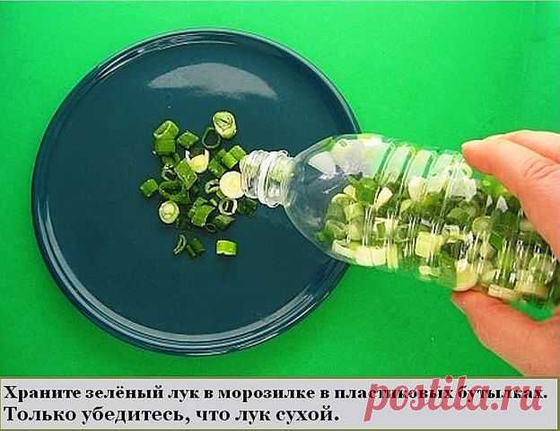 ХРАНЕНИЕ ЛУКА