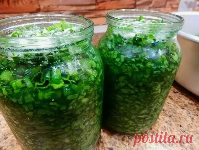 Зелёный лук на зиму: показываю, как заготовить и сохранить | Кулинарные записки обо всём | Яндекс Дзен