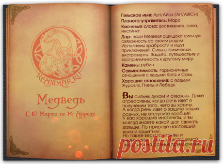 КЕЛЬТСКИЙ ГОРОСКОП - """МИР ЖЕНЩИНЫ - Группы Мой Мир