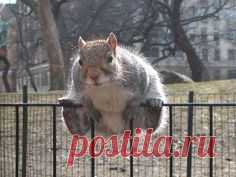 (107) Pinterest • Всемирный каталог идей