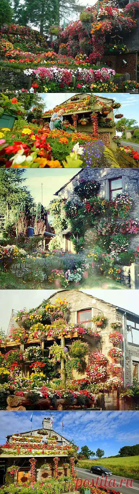 Цветочный дом!!! | Сияние Жизни