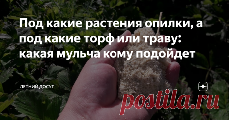Под какие растения опилки, а под какие торф или траву: какая мульча кому подойдет Мульча – настоящее спасение для огородников. Сегодня ее кладут не только под клубнику – «соломенную ягодку», но и под практически все овощи, ягодники и плодовые деревья. Однако только правильно подобранная мульча действительно защищает огород от сорняков, удерживает в земле влагу и препятствует образованию почвенной корки.
Как правило, садоводы и огородники предпочитают органическую мульчу