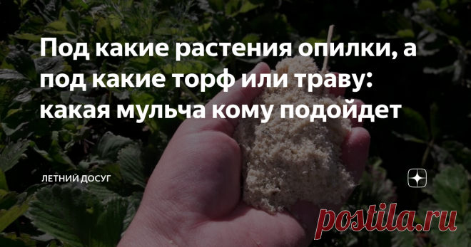 Под какие растения опилки, а под какие торф или траву: какая мульча кому подойдет Мульча – настоящее спасение для огородников. Сегодня ее кладут не только под клубнику – «соломенную ягодку», но и под практически все овощи, ягодники и плодовые деревья. Однако только правильно подобранная мульча действительно защищает огород от сорняков, удерживает в земле влагу и препятствует образованию почвенной корки.
Как правило, садоводы и огородники предпочитают органическую мульчу