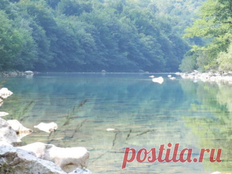 (12) Pavle Obradović