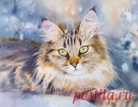 Влюбилась в акварельных котов художника Любови Титовой  😍.
Так что сегодня я с #марафон_акварельныйкот 🐈.
В марафоне участвуют все, кто любит акварель, и даже те, кто не любит.
Но это не точно. 🌠🎨💙🤗🖌️👌🏻🧡🔥🥰🙂😉 #акварельнаяиллюстрация #акварель #акварели #котики😻 #коты #акварельныекоты
Влюбилась в акварель и акварельную кошку художника Любовь Титову 🦊.
Обожаю всех акварельных кошек ❤️. А уж в исполнении Любови - тем более!
Решила поучаствовать в #марафон_акварельныйкот от @watercolor_daily.
И, ко…