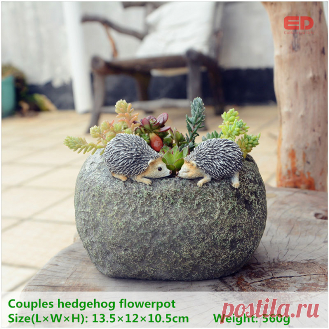Retail Price ED original quality design fairy garden bonsai outdoor hedgehogs flowerpot for succulents Valentine's Day Gifts | FASHIONWIKI