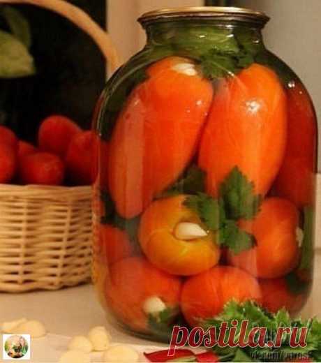 Помидоры «Язык проглотишь»

вкуснейший рецепт!

Способ приготовления:
У помидоров вырезаем плодонжку и вставляем по зубчику чеснока. Укладываем их в банку, прослаивая веточками сельдерея, петрушки, дольками болгарского перца. 

Добавляем 0,5 среднего стручка горького перца и заливаем кипятком на 20 минут. Воду сливаем, добавляем на 1 литр — 1 ст. л с горкой соли и 4 ст.л с горкой сахара, 50 мл. 9 % уксуса доводим до кипения, заливаем банки и закручиваем.