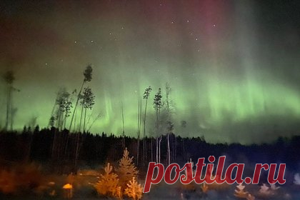 Арктическое природное явление заметили в Сибири. Арктическое природное явление заметили в Сибири — северное сияние сняли жители Томской области. Сообщается, что кадры были сняты в районе города Стрежевой. Вспышки северного сияния были довольно мощными и по силе не уступали сиянию, которое обычно наблюдают в самой Арктике — Мурманской и Архангельской областях.