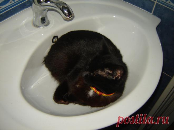 Где моя зубная щетка