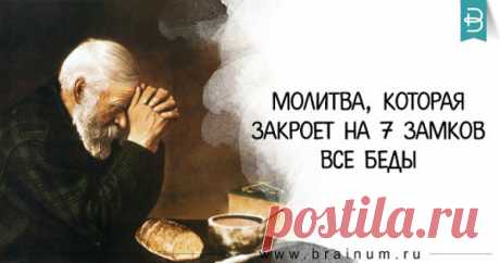 (49) Одноклассники